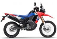 CRF300L RALLY
